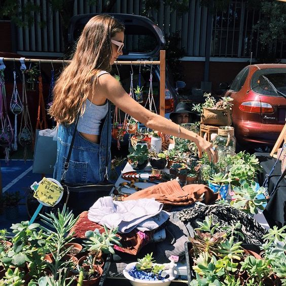 Remplir son appart de plantes c'est BON pour la santé, et ça vous évite même de faire le ménage (coucou les flemmardes😎) 🌿On vous explique tout ici : bit.ly/2Dt1tLQ #passionfougère #plantes #nature