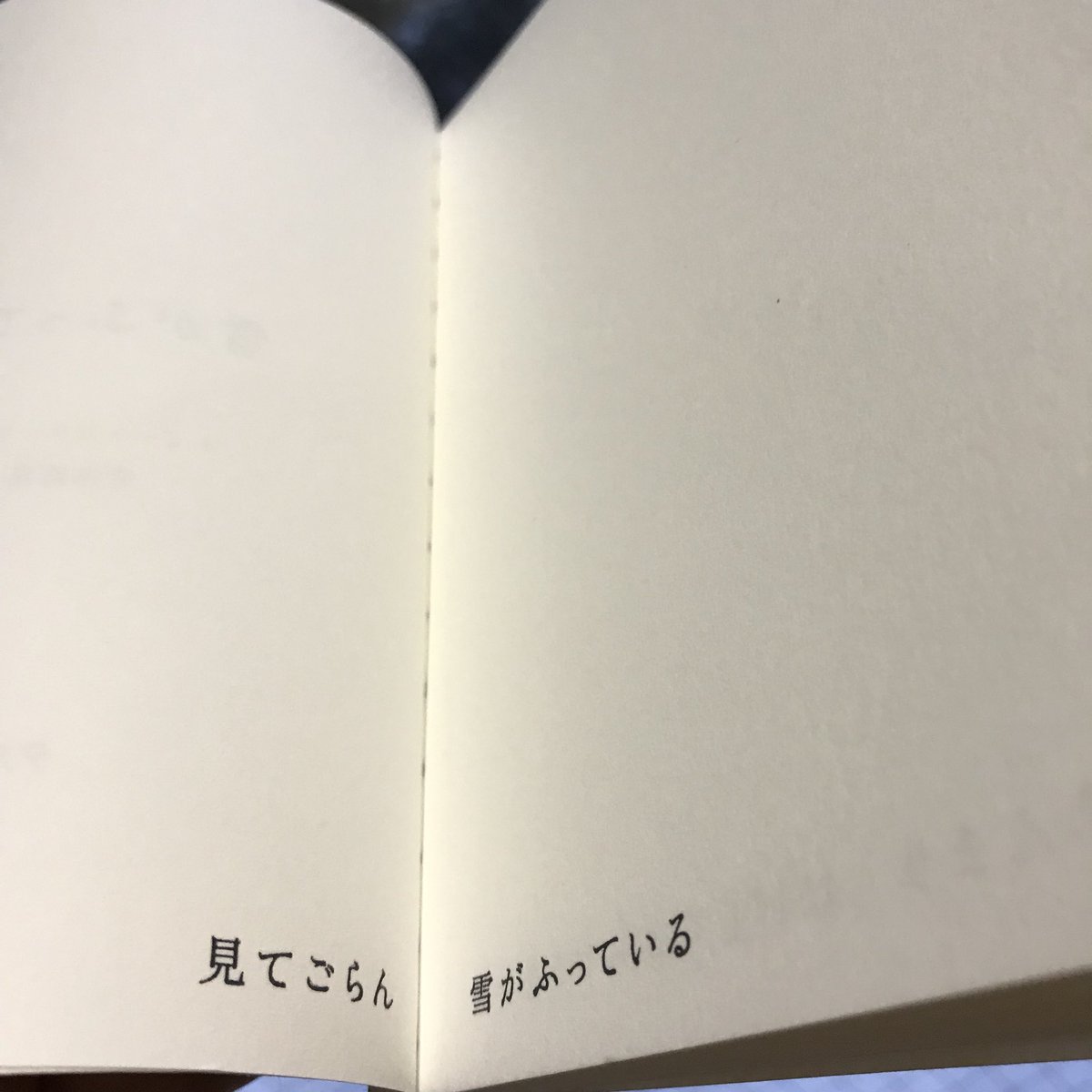 megmmeg's tweet photo. 図書館に予約してあった本を取りに行ったら、今日にぴったりのタイトルだった。
タムラ堂の『雪がふっている』レミー・シャーリップ 作。
活版(亜鉛凸版)印刷が美しい。
#雪がふっている #タムラ堂 #活版印刷 #レミーシャーリップ #ItLooksLikeSnow #RemyCharlip https://t.co/rlZ5kwcqQw