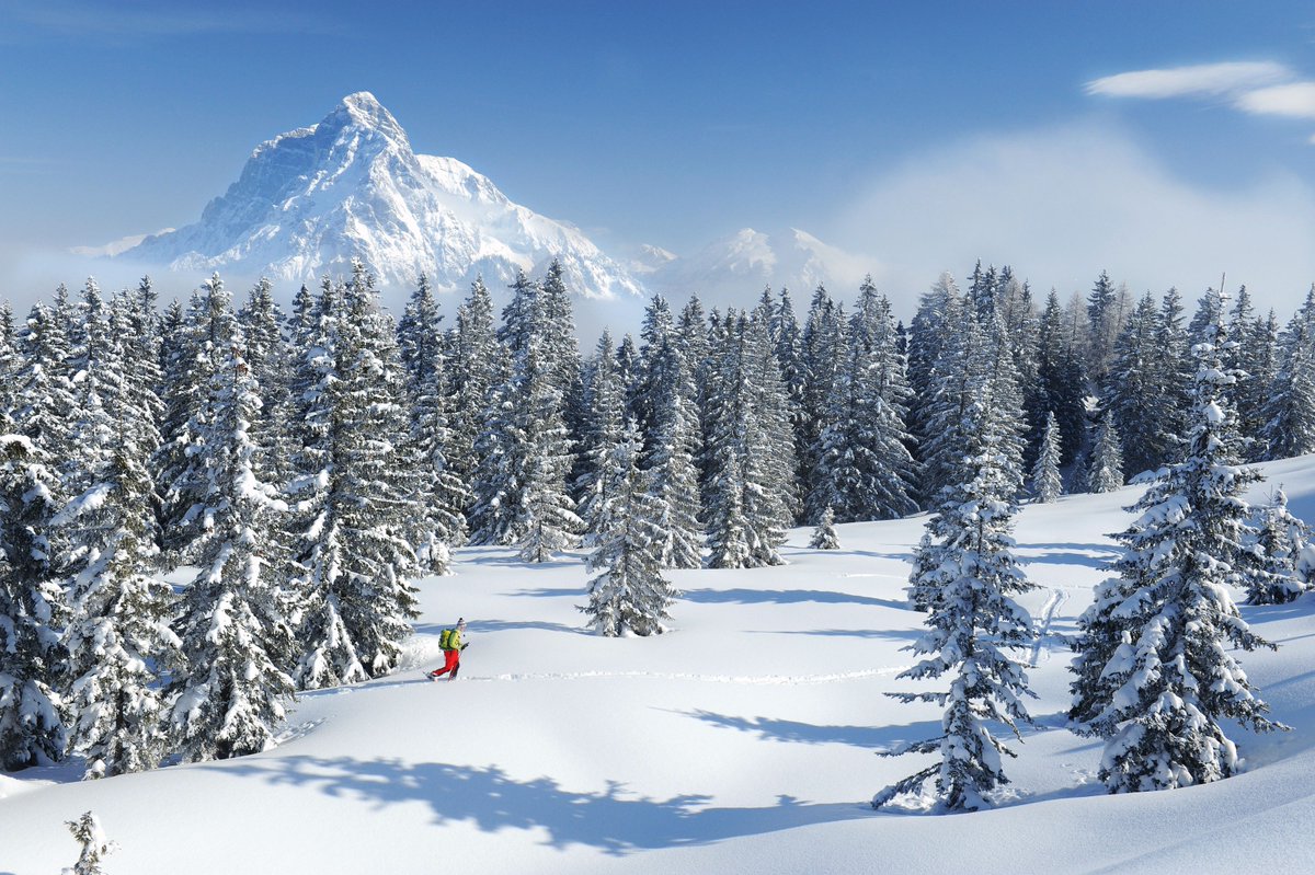 visitsteiermark's tweet photo. Hier verraten wir euch die 5 schönsten Orte in der Steiermark für einen winterlichen Instagram-Schnappschuss: 😍❄https://t.co/Uau7TZG0JC
#visitsteiermark #visitstyria  
© Steiermark Tourismus | https://t.co/nnNbdnIXs4 https://t.co/MNj8sAgZ58