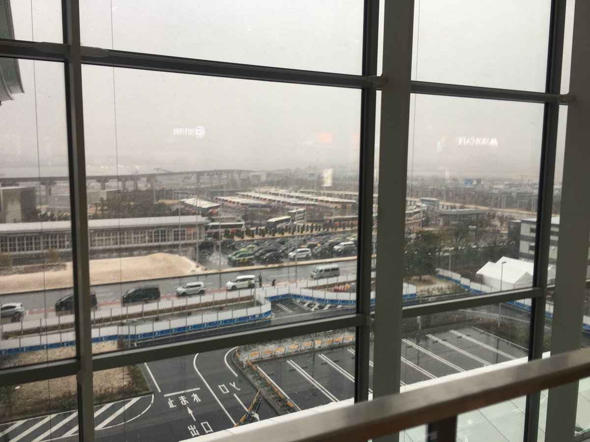 remtyy's tweet photo. So sleepy... bye bye Japan 👋 https://t.co/YoKOr3Tuv3