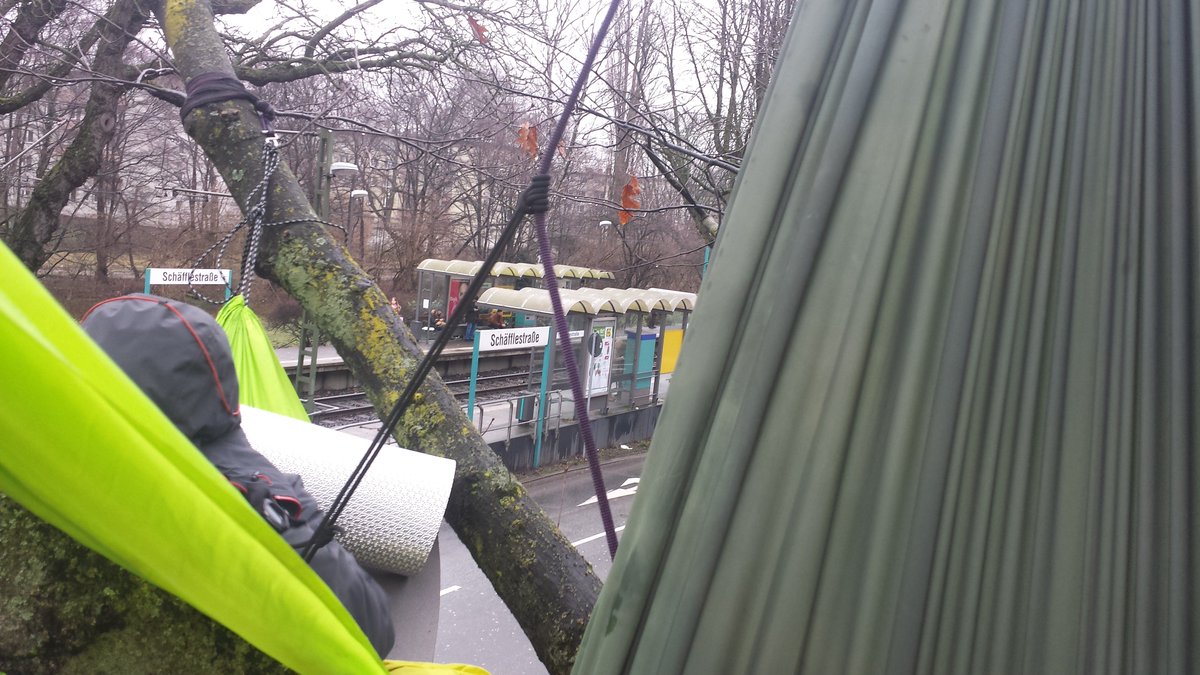 jackpotblume's tweet photo. Im Stadtteil #RiederWald in #Frankfurt wurde heute morgen ein Baum besetzt, welcher von Fällarbeiten bedroht ist. Seid solidarisch und kommt vorbei (Haltestelle Schäfflerstraße) #RiederwaldBleibt https://t.co/phMnnCpHrh
