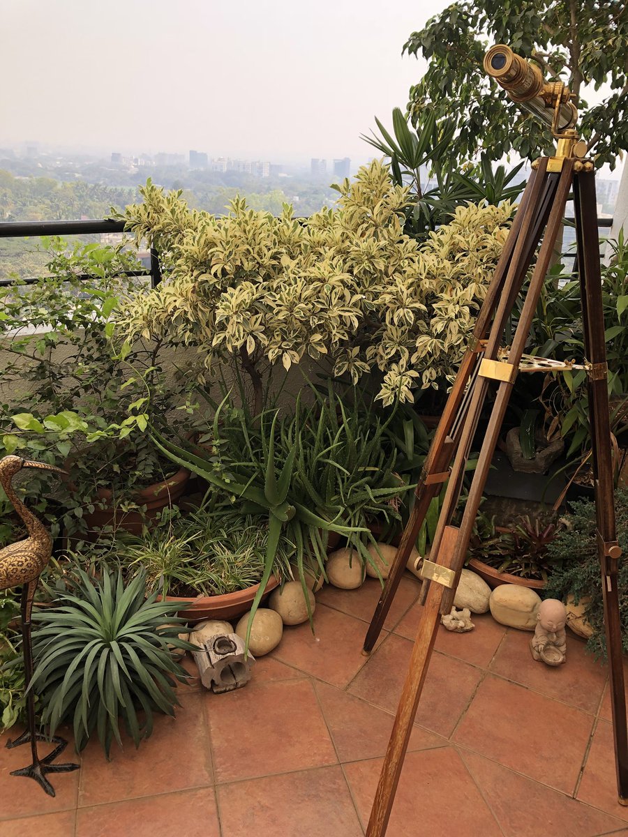 madhurism_'s tweet photo. Grow a little urban forest in your balcony and enjoy its beauty amidst all the chaos in the city! Doing my green bit #TheEcoChain https://t.co/HeL96hRCIX