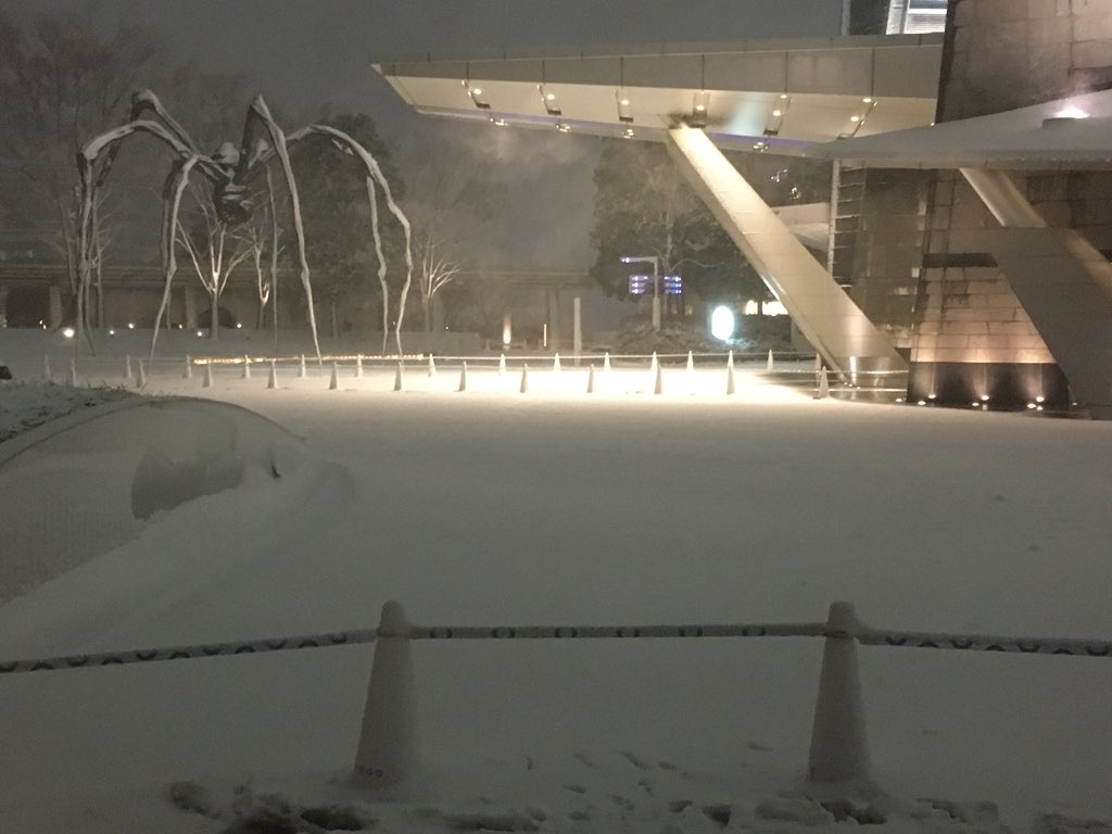 雪やば