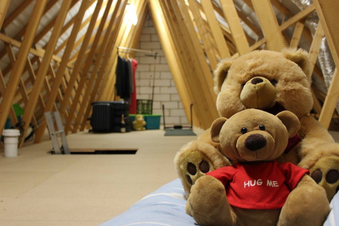 LoftMonkeys's tweet photo. Extra storage? Use your loft space!
Professional installation with a 5-year guarantee!
Book a FREE survey in 2018 &amp; get 10% off your quote! Call now on 0800 8799967
Chat live NOW here https://t.co/Ct2NMQXPtG 
https://t.co/OSvucdXVOd 
#LoftBoarding
#LoftStorage
#UseYourLoftSpace https://t.co/QBboG5qRJW