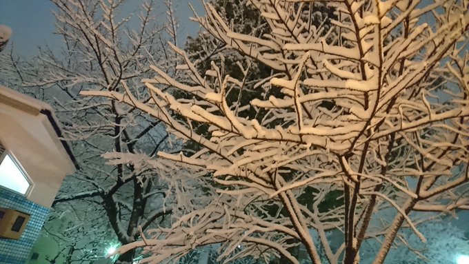 うおぉぉぉ(((&omicron;(*ﾟ▽ﾟ*)&omicron;)))💦💦💦 みんな無事かぁー(゜o゜) https://t.co/AXkPI3cIGY