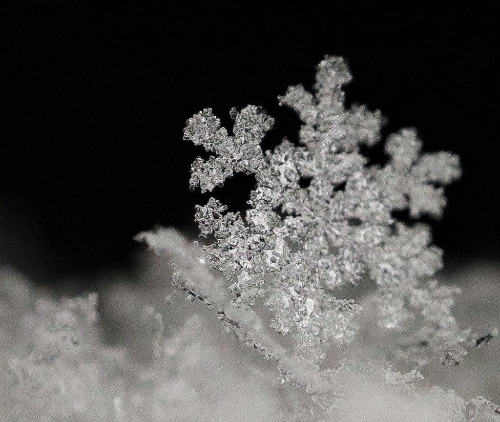 東京雪結晶