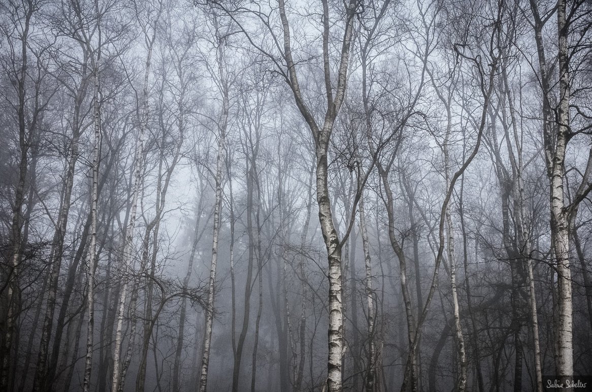 Gestern. Irgendwo im Nirgendwo an einem Autobahnparkplatz... #photography #documentary #neverstopexploring #ousideisfree #ricohgr