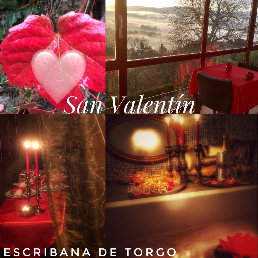 EscribanadTorgo's tweet photo. Buscas un #SanValentin único?
https://t.co/bTPE3Dqjc8 https://t.co/NvjDkSORtj