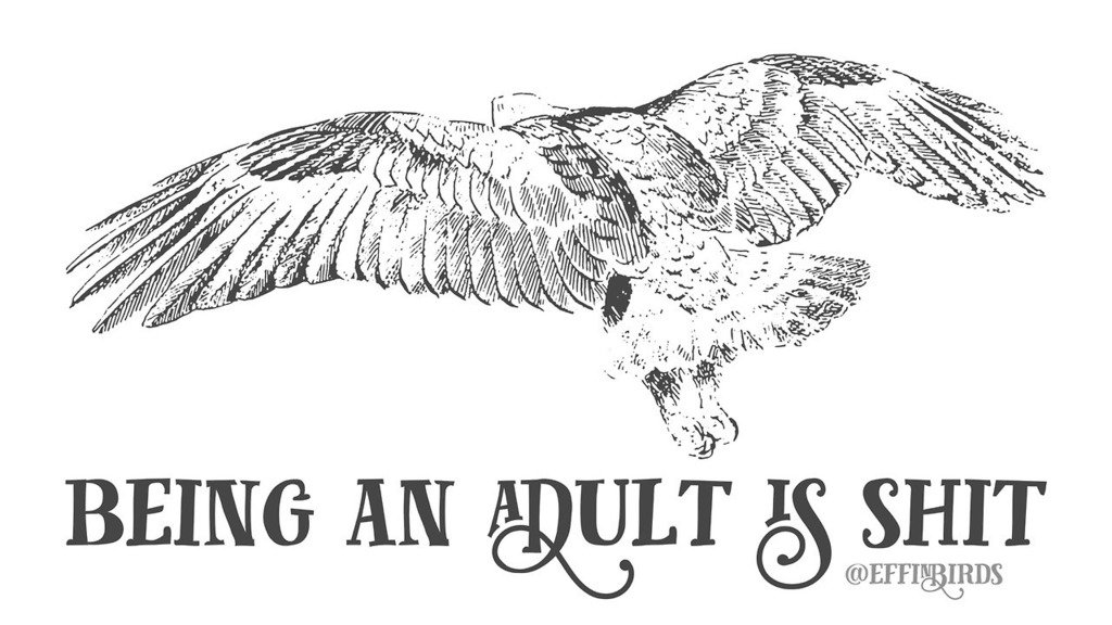EffinBirds's tweet photo. https://t.co/ZlO3xSRgCm