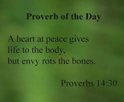 GodsMenPodcast's tweet photo. Is your heart at peace? #Proverbs1430 #GodsWord https://t.co/rng9mOVtnZ
