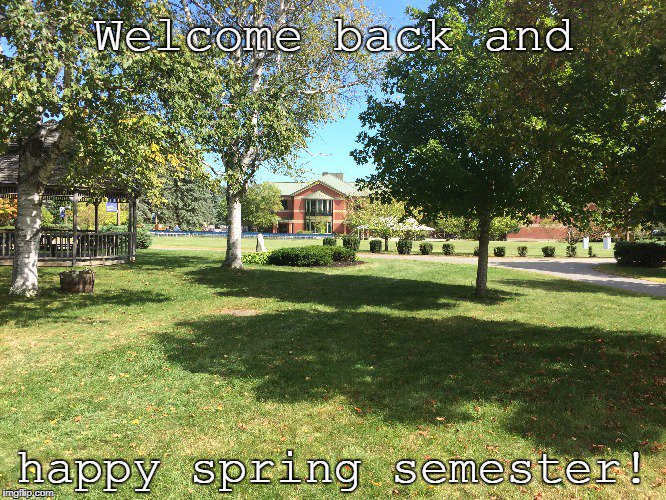 It doesn't yet *look* like spring, but we'll get there. In the meantime, the WC will resume in-person hours 1/29. Email consultations are available now!