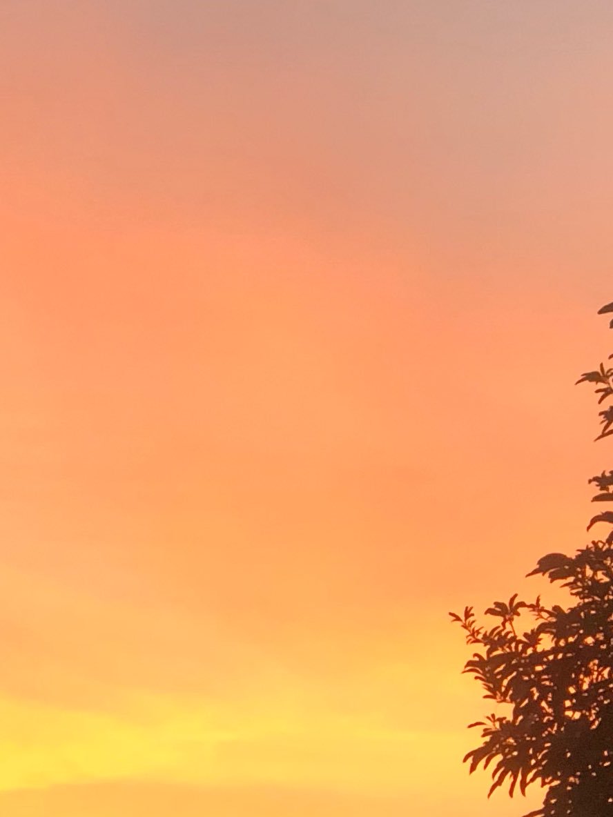 PlobJai's tweet photo. โลกของคุณตอนไม่มีฉัน... เป็นยังไงบ้างนะ
☁️
                              🌥
                  ⛅️
    🌤
                          ☀️
.
          “ หวังว่าคุณจะสบายดีนะ “ https://t.co/32CODKrhKv