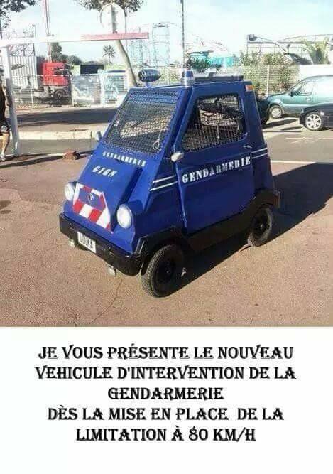FrikiPets_FR's tweet photo. https://t.co/oTq3UaikXs