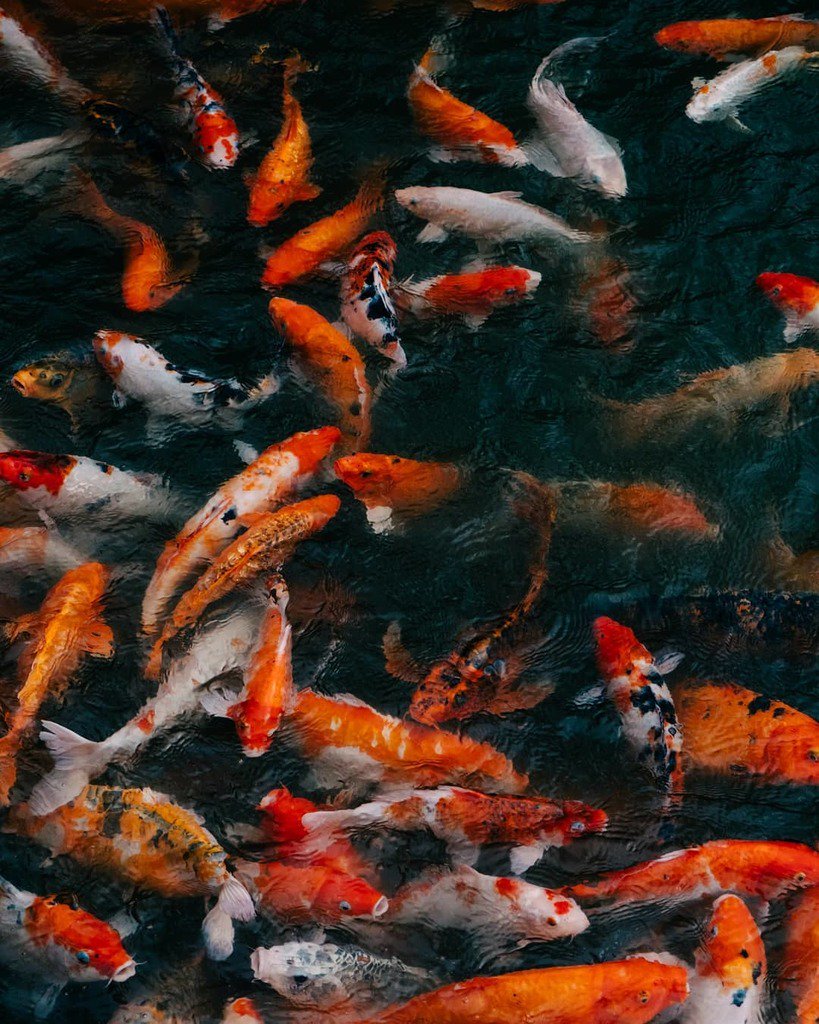 wylify's tweet photo. https://t.co/Fgoxm3pFXh #VSCOCam Magikarp Tessellation // I am such a sucker for these kinds of shots.... //
.
.
.
.
.
#pickld #guaq #citylimitless #seemycity #urban #street #streetdreamsmag #unsplash #hsdailyfeature #agameoftone #instagood #picoftheday #illgrammers #way2ill #k… https://t.co/TbWr6DQArG