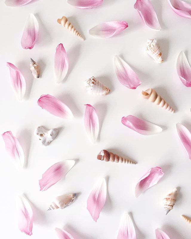 Happy new week lovely folk! I was saying farewell to my tulips yesterday when they disintegrated into a pile of petals before my eyes....so naturally I had to have a little play with them :) Hope your week is a good one ♡ .
.
.
#thestilllifecollectiv… ift.tt/2G5PcKO
