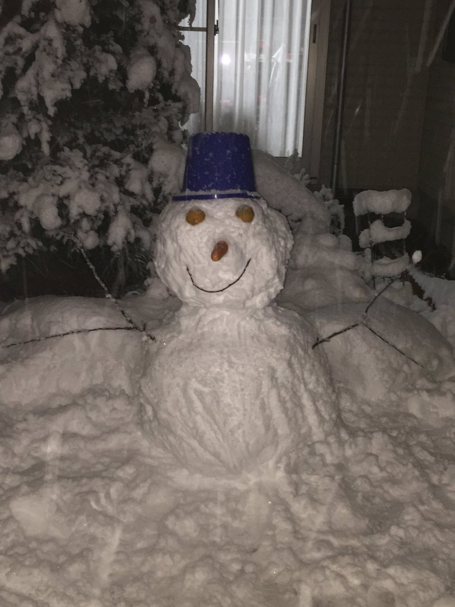 川島 梨奈 V Twitter ひとり遊び得意なのでせっせと雪だるま作ってたら そっと梨の枝を切ってきてくれたぱぱんと目と鼻の材料をくれたままん ありがとう にんじんは美味しく食べます
