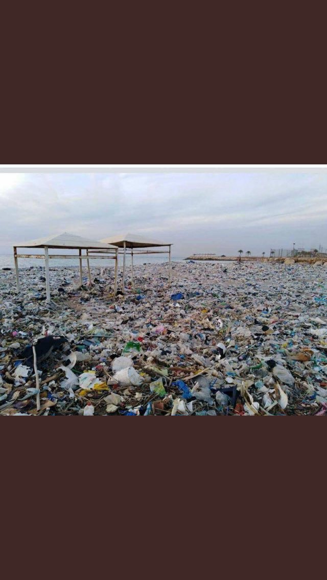 basselaridi's tweet photo. منظر شاطئ البحر عند #نهر_الكلب لا يوصف اقل شيء رفع دعاوى على كل من يتسبب بقتلنا عن سابق تصور وتصميم امام المحاكم البلجيكية وغيرها. 
برأي يجب عقد جلسة لمجلس الوزراء على شاطئ الرميلة لبحث تداعيات الازمة وتشكيل لجنة للغوص في جذور المشكلة وصولا الى #مكب_برج_حمود و #الكوستابرافا https://t.co/2GQmYHcAtD