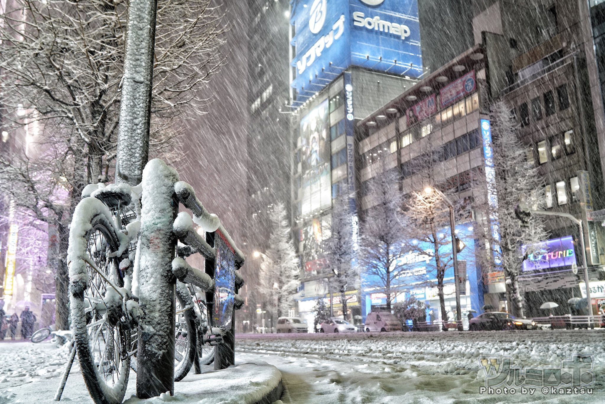 ﾂﾙﾐﾛﾎﾞ on X: 