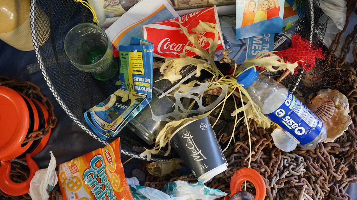 Measures to cut waste plastic in the oceans have been prompted partly by the huge public reaction to <a href="/BBCEarth/">BBC Earth</a>'s #BluePlanet2. It's a great example of science communication changing the world. Study MSc <a href="/SciCommSheff/">SciComm Sheffield</a> and be part of it! sheffield.ac.uk/faculty/scienc…