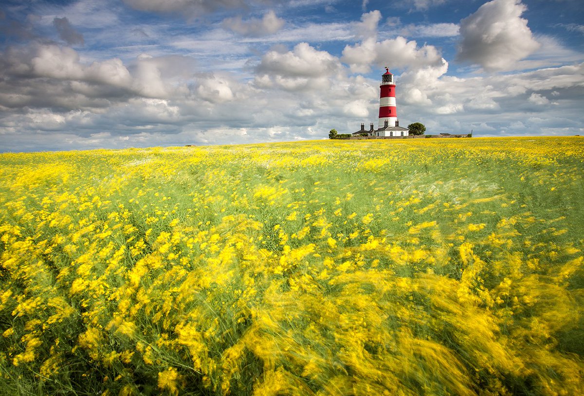 visitnorfolk's tweet photo. January's winding up, so why not make a last-minute #newyearresolution2018 to #VisitNorfolk - we have all this and more! https://t.co/10fYemfIvt https://t.co/BB9cUWAyQe