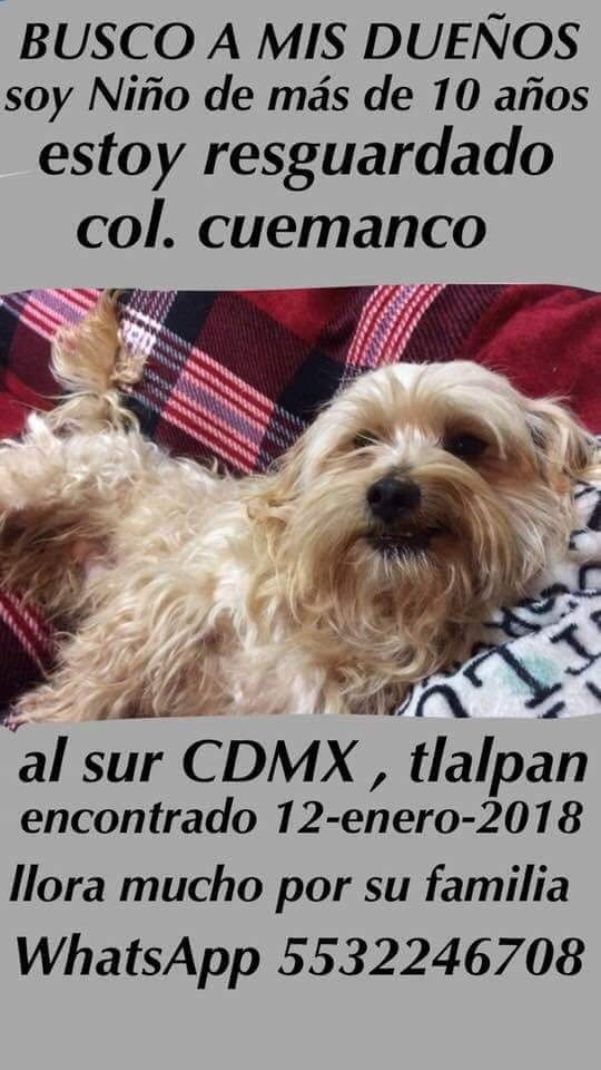 VoluntariosPerr's tweet photo. https://t.co/KMDYtvC12o