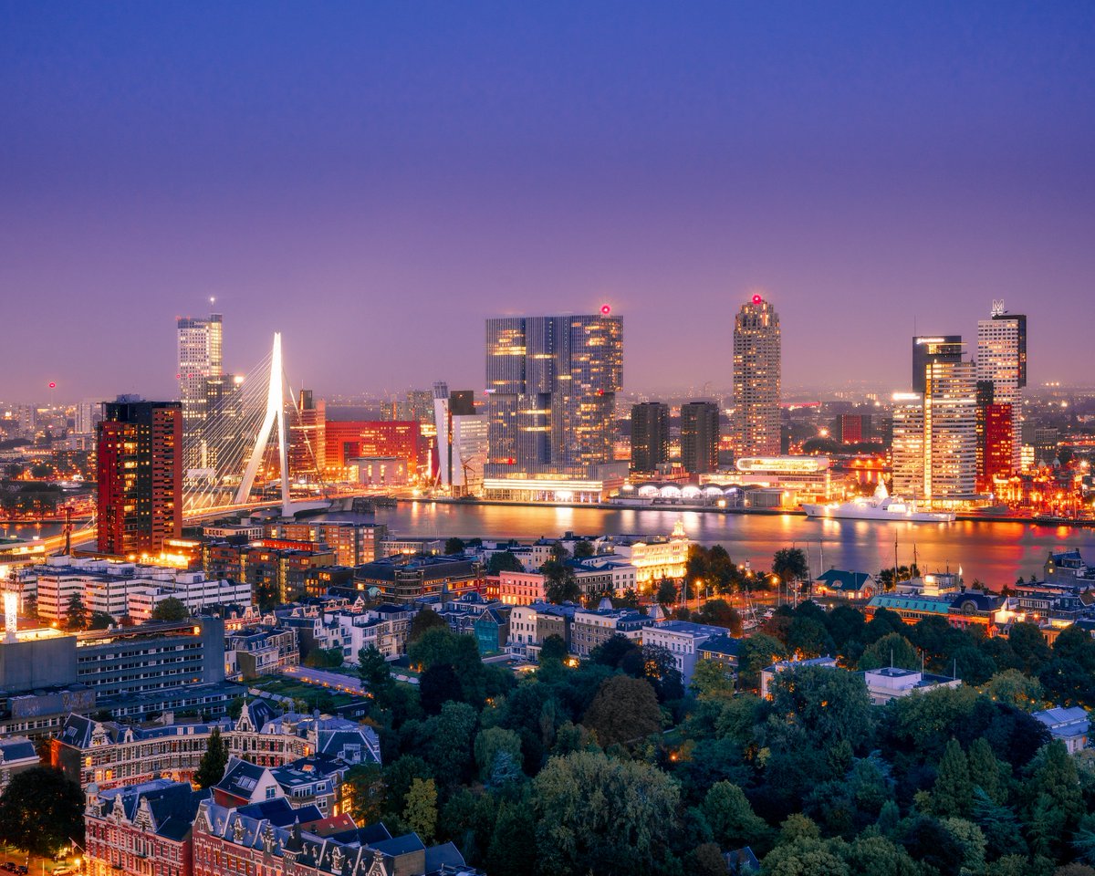 Timo Bongers tweet media