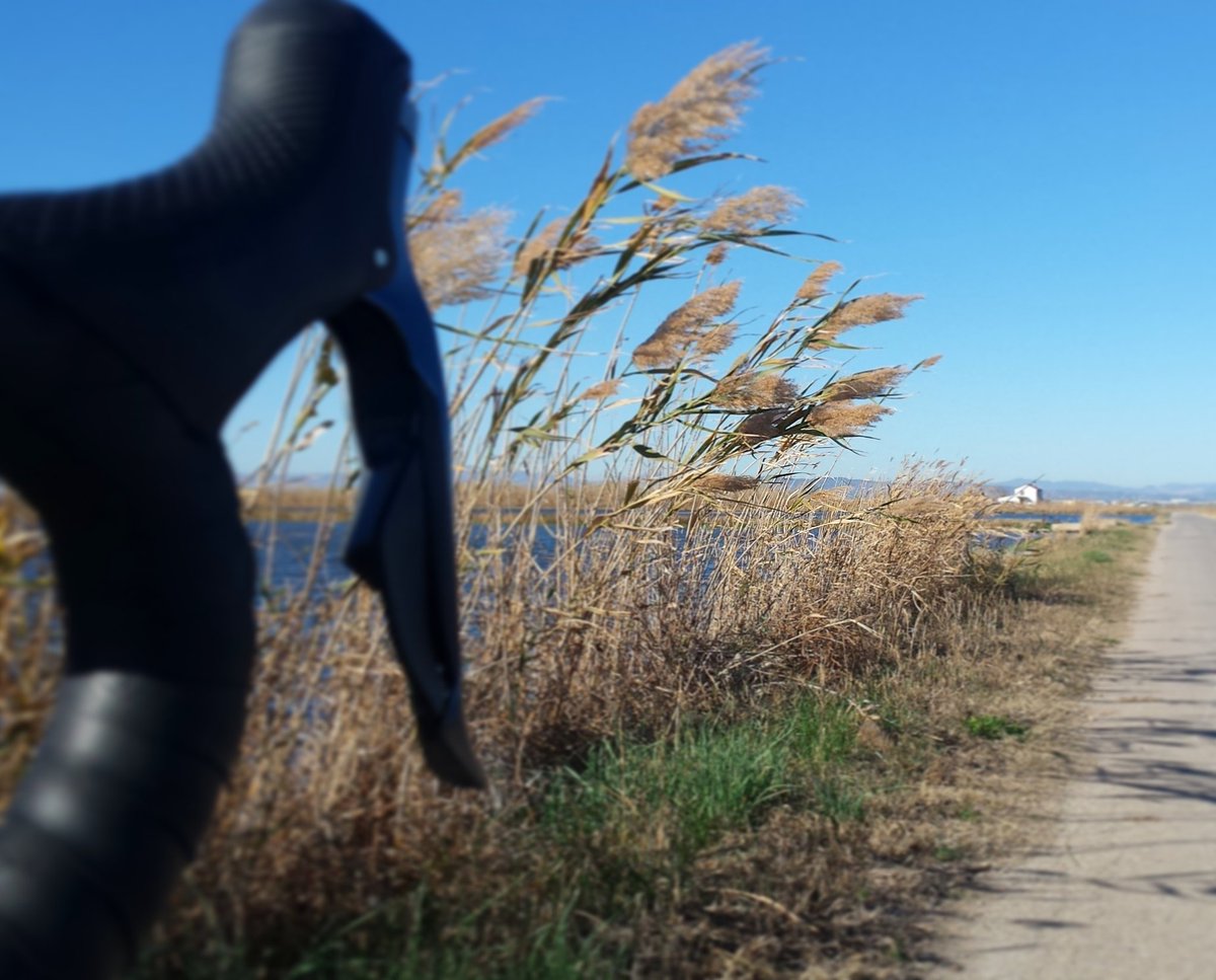 Bicitarianos's tweet photo. ¿Amaneció con viento ? Entrenamiento doble.
.
Windy day? X2 workout.
.
#Viento #sinpereza #sinexcusas #entrenamiento #constancia #Albufera
#Wind #Windy #nopainnogain #nosurrender #noexcuses #workout #motivation #constance https://t.co/ae4ulsZI24