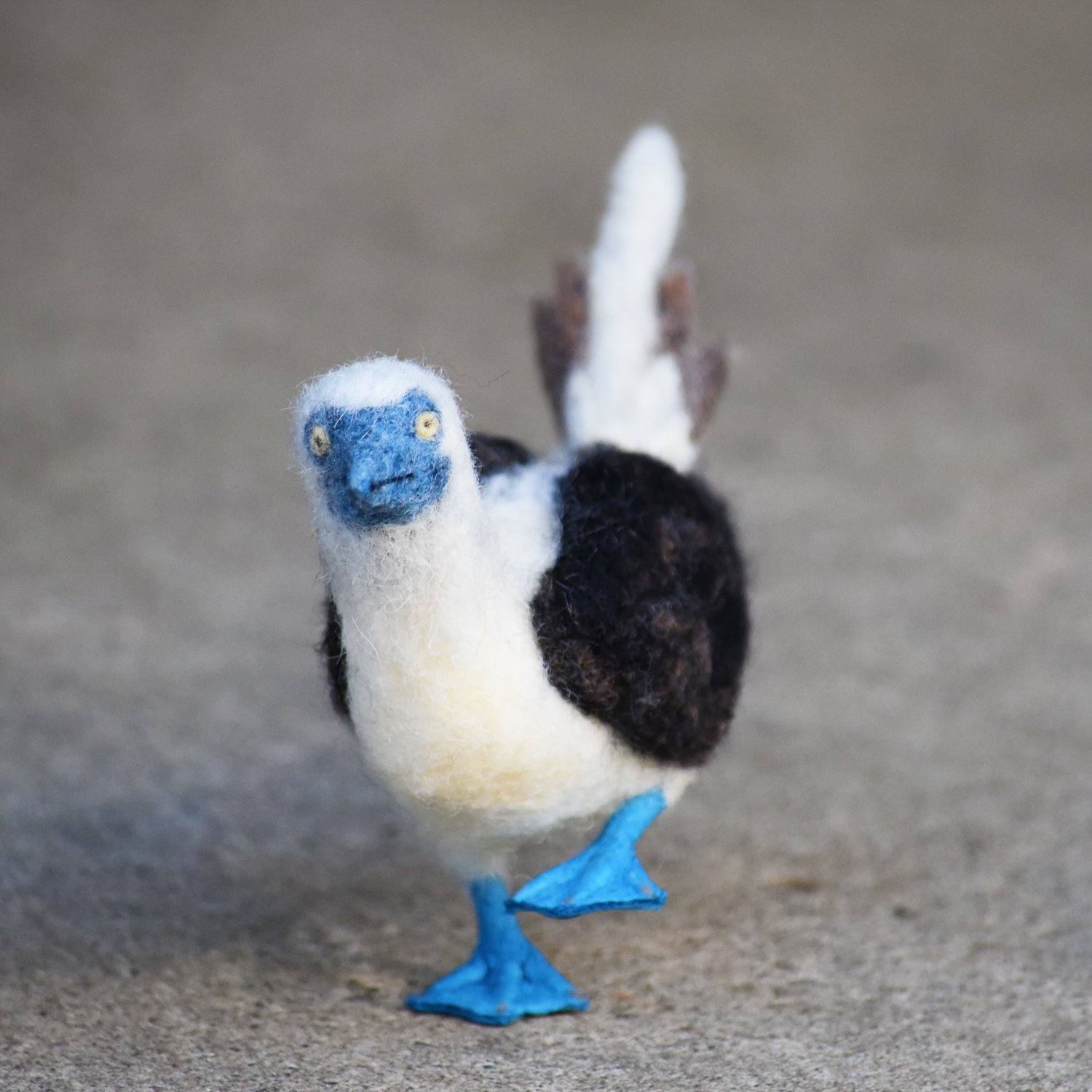 世界のお土産④ ガラパゴス 木彫り アオアシカツオドリ アオアシ