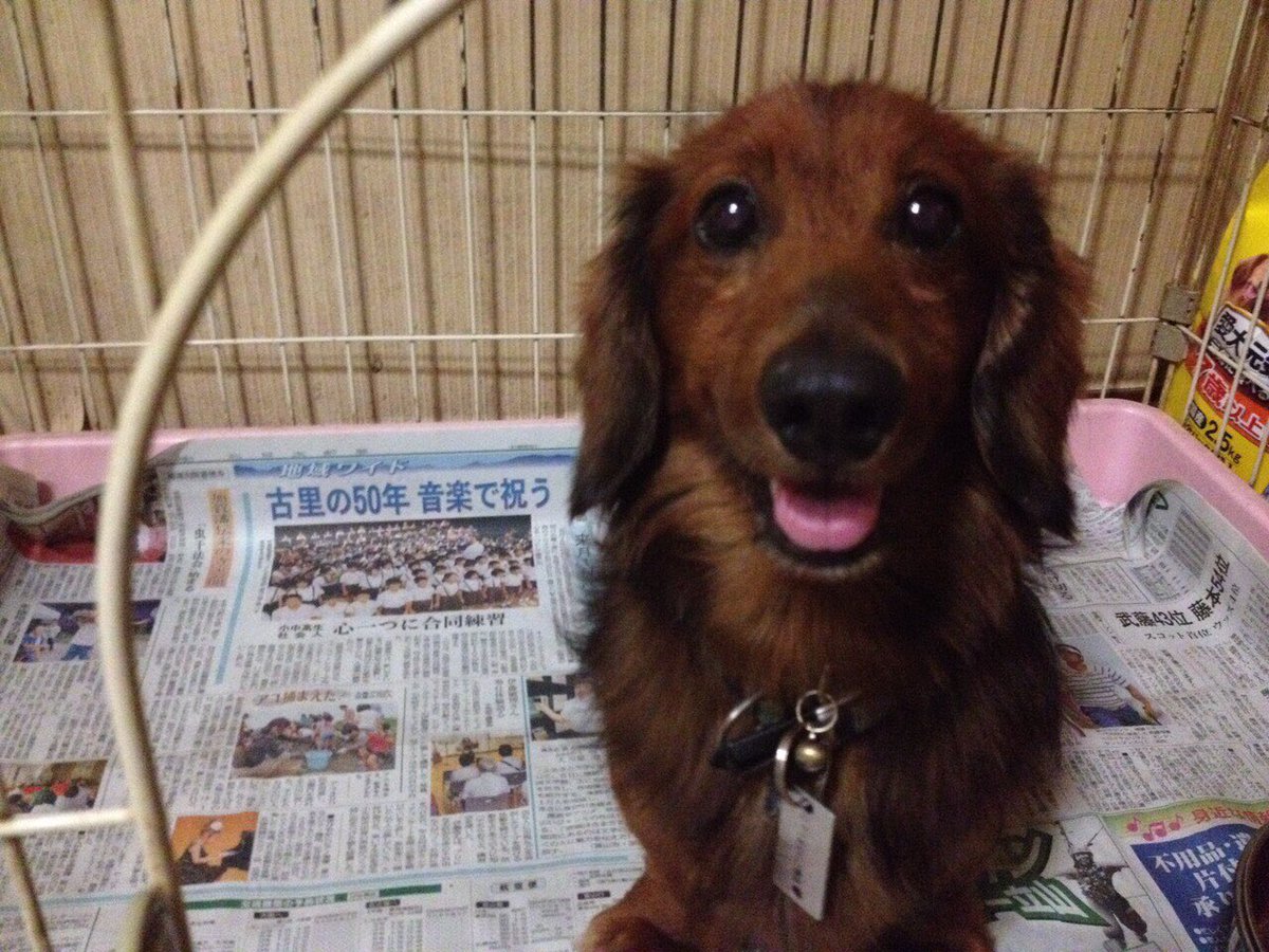 ちゃんさき♛︎ tweet media