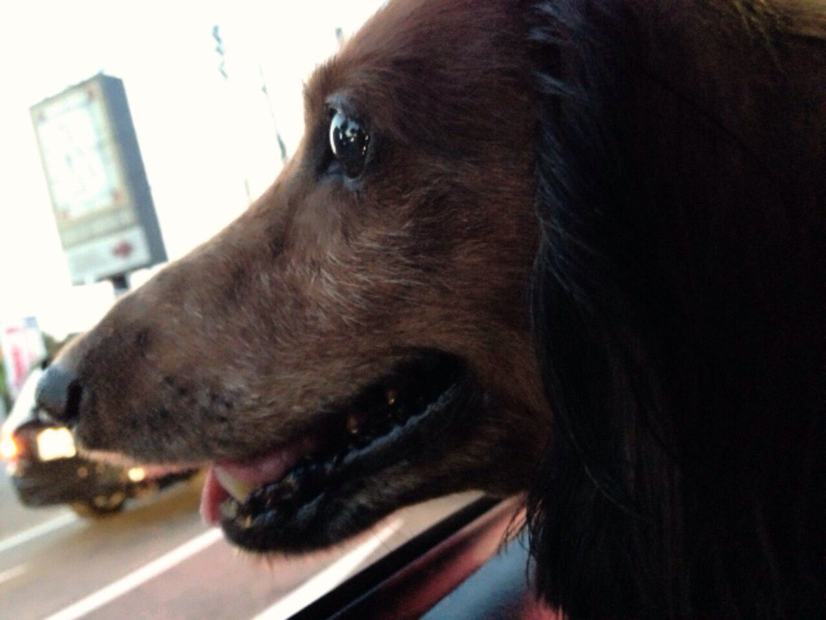 ちゃんさき♛︎ tweet media