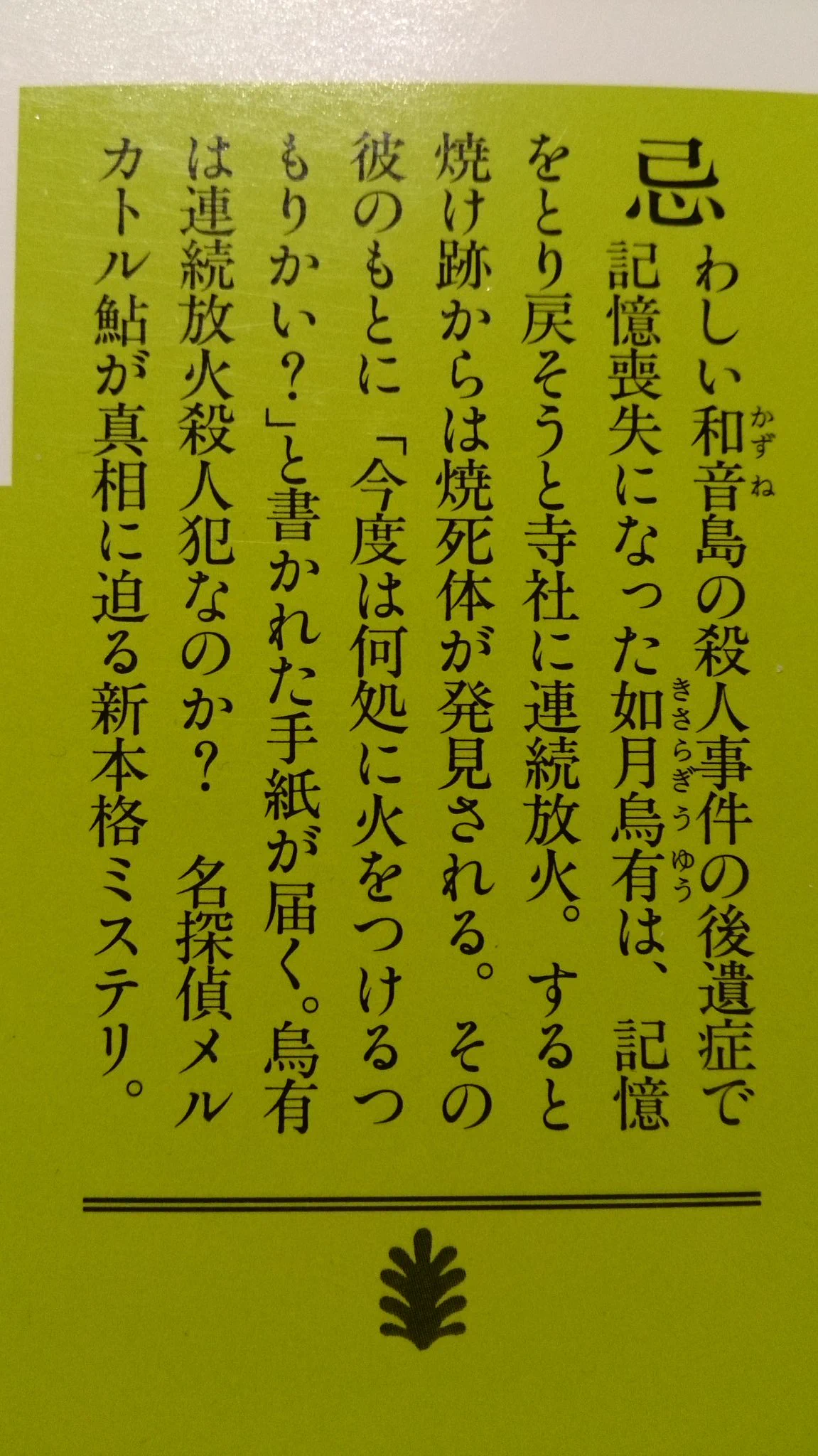 よくよく見ると全文意味不明ｗｗｗ　小説のヤバイあらすじシリーズが面白いｗｗｗ