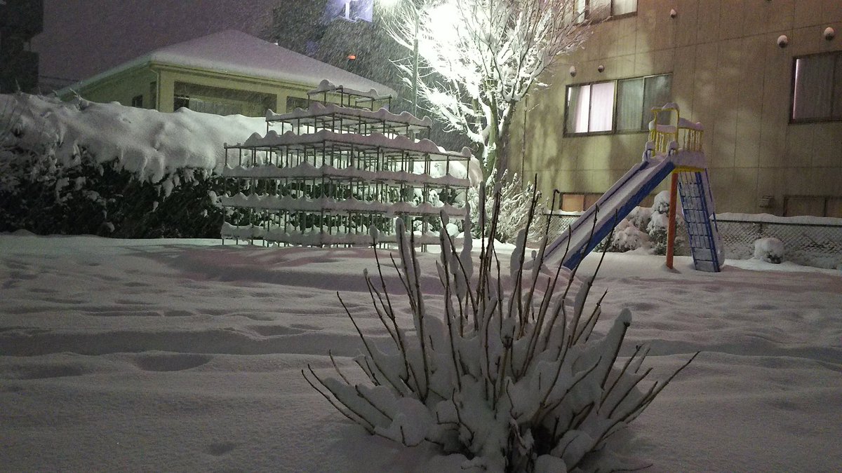 Haischlib 八王子雪 Ar Twitter Haischlib 八王子雪 Ar Twitter