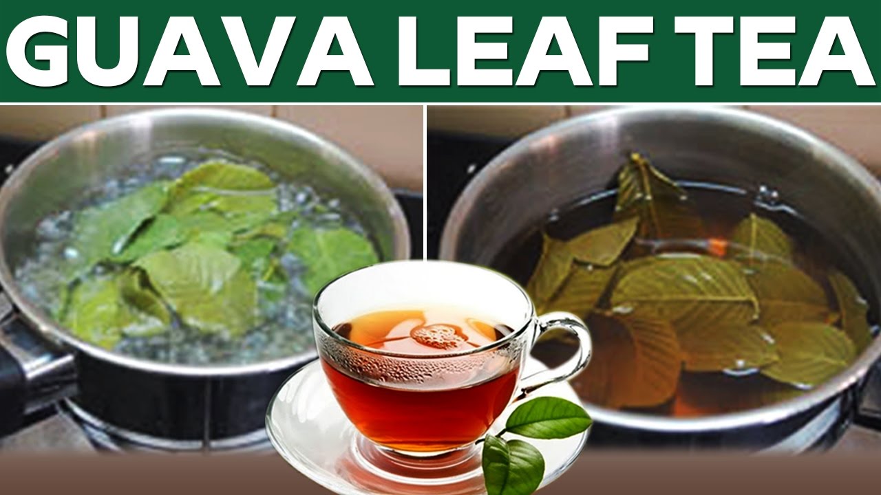 Guava sale leaves tea