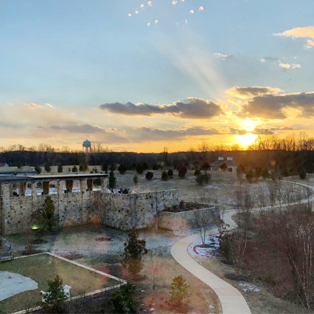 Daydreaming of a #spaday… #SalamanderExperience #spa #salamanderspa #loveloudoun #loudouncounty #sunrise #vawinecountry