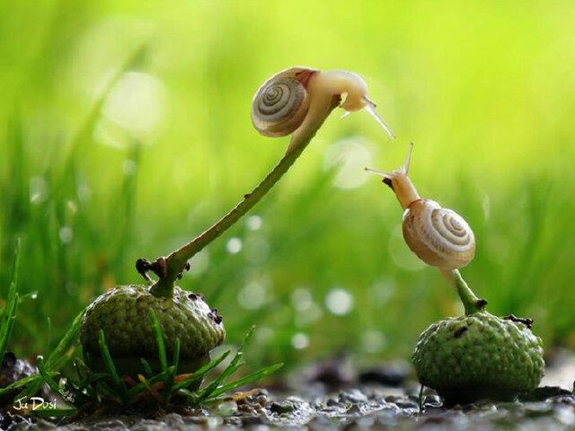 좋은 인생을 살려면
좋은 사람을 만나야합니다

나에게 따뜻하고
나에게 잘해주고
나에게 다정한 사람

항상 나를 믿어주고
언제나 내편이 되어주는사람

나를 웃게하고
늘 행복하게 하는 고마운 사람을 만나세요

나도 누군가에게
그런 사람이 되어주어야 합니다