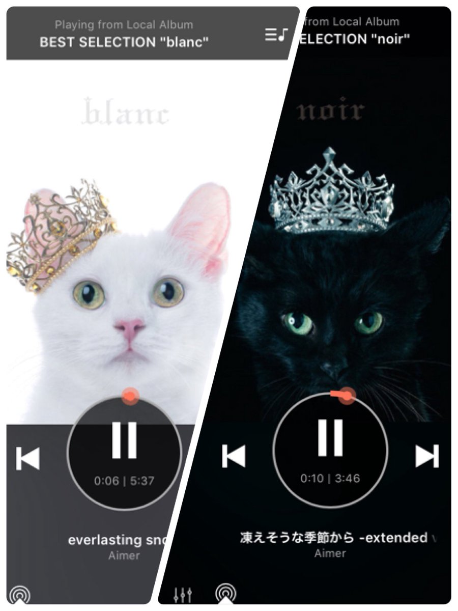 やっさん V Twitter Aimer エメ 初ライブで 惚れた 息を呑むステージやった 兎に角 歌唱力がもの凄い 歌い出しはいい意味の枯れた様な声に始まり 歌い終わりの揺れ震えるビブラートまで 圧する声が心に響く また凄いアーティストに出逢った 感謝