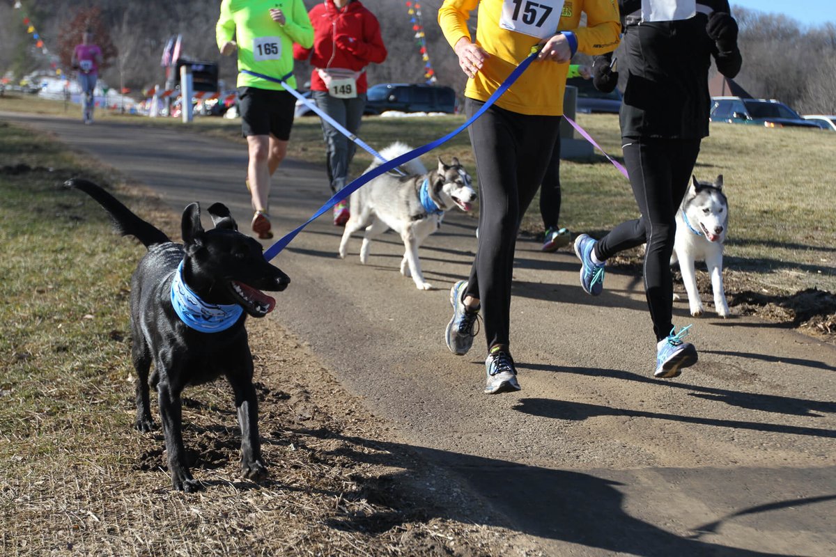 You and your pup love to run? Check out the #FrostyDogJog on Saturday, February 3 to benefit Dane County Humane Society! ow.ly/PvpI30hyBRC