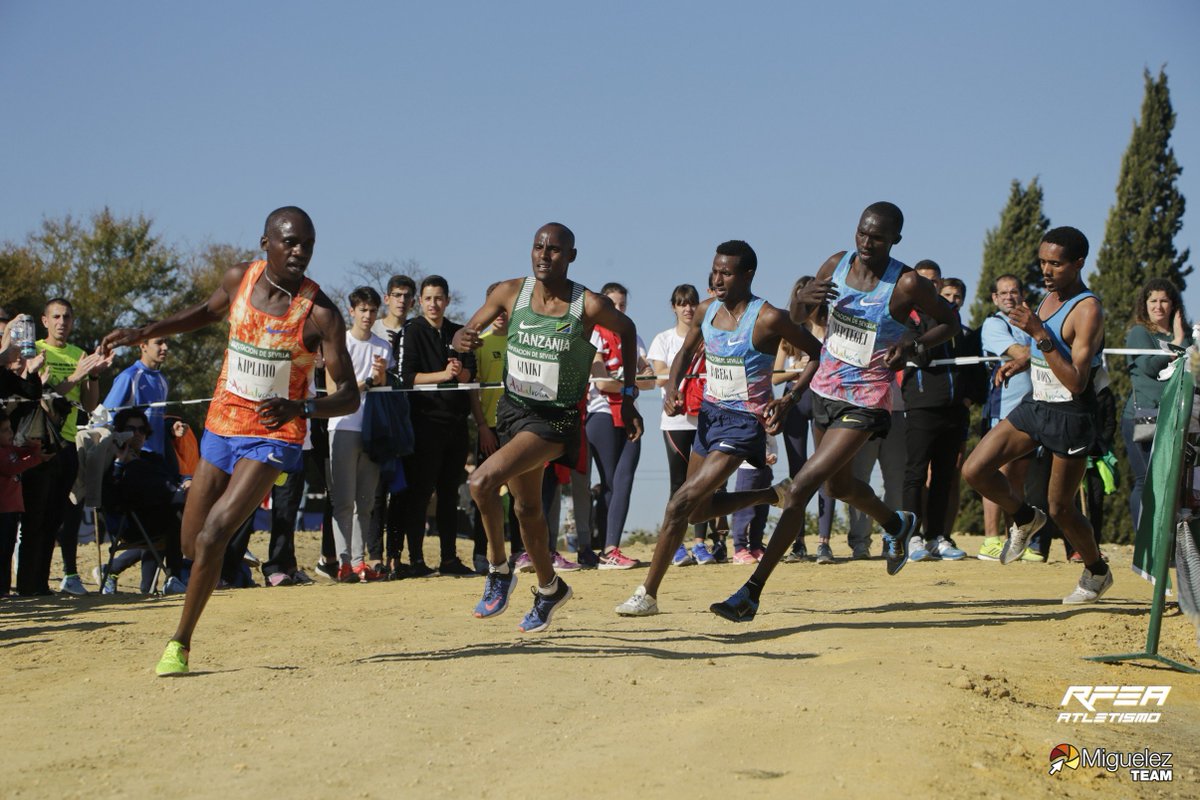 Fantástico trabajo realizado ayer en el Cross Internacional de Itálica. Podéis ver las fotos en la galería de la RFEA (rfea.miguelez.photos/evento/19/2101…). <a href="/atletismoRFEA/">atletismoRFEA</a> 

Si deseas que cubramos un evento o tu propia galería web: miguelezteam.com #CrossItalica #fotografia #web