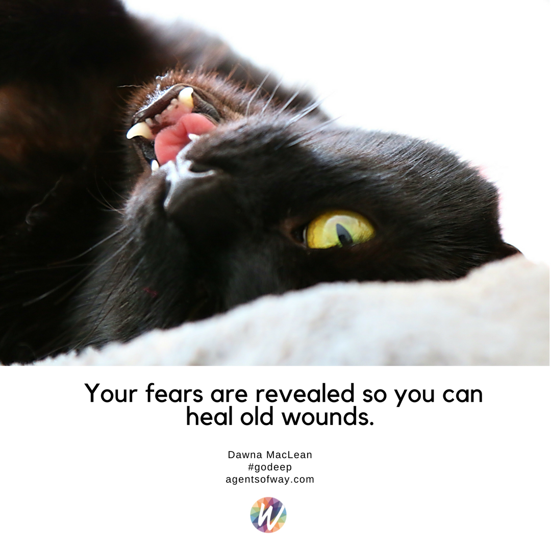 dawnamaclean's tweet photo. When our fears surface it is to open up the possibility to heal old wounds. Our fears are doors. Unopened they keep us trapped, opened they free us. #godeep #courage #selfawareness #selfmanagement #photographybyJillWoodley https://t.co/7e7VjhPbsq
