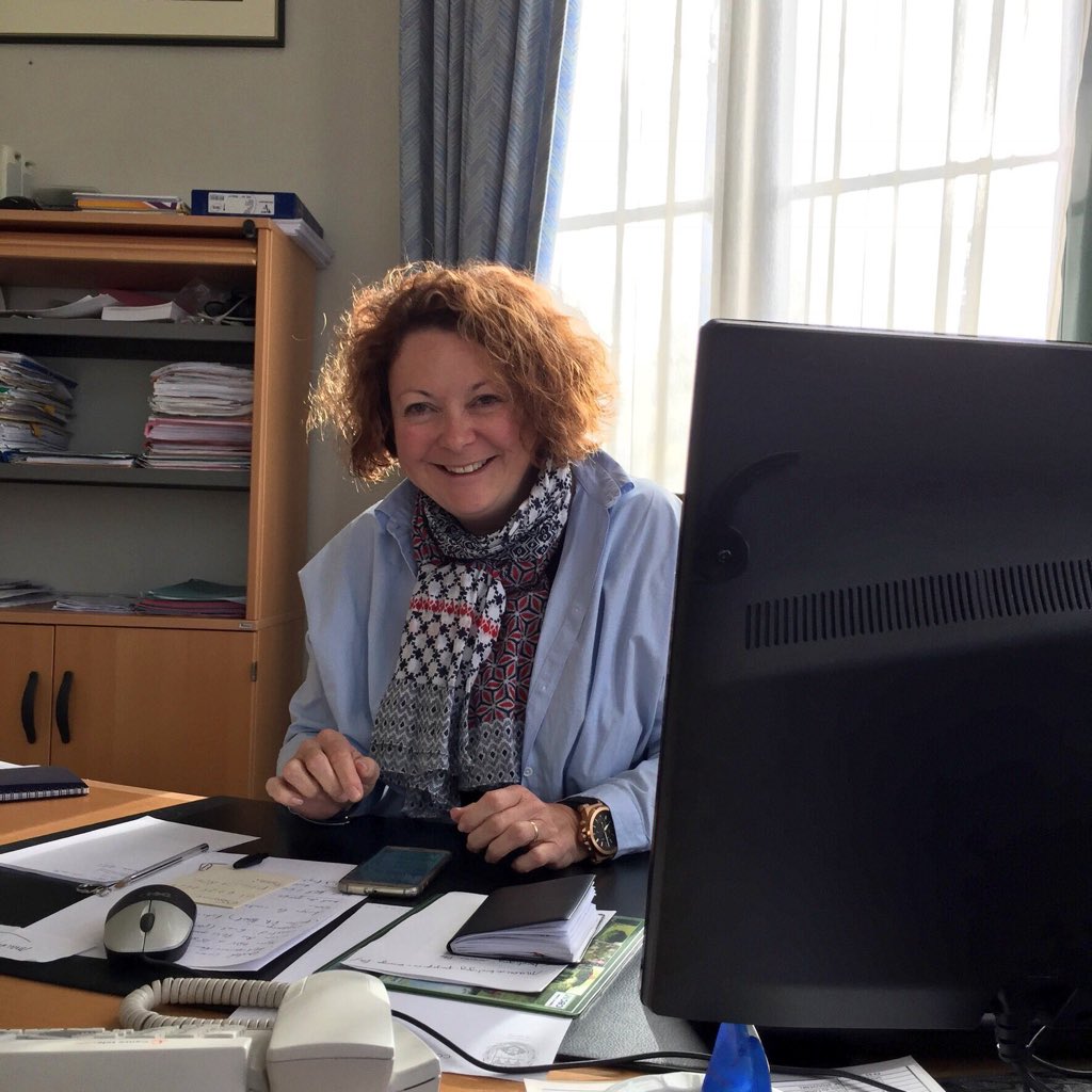 PBergdolt's tweet image. #NouvellePhotoDeProfil pour le #tewlcome