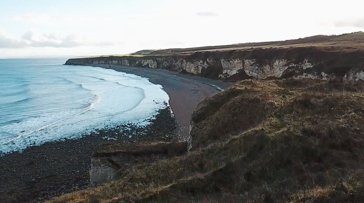 Durham County Council tweet media