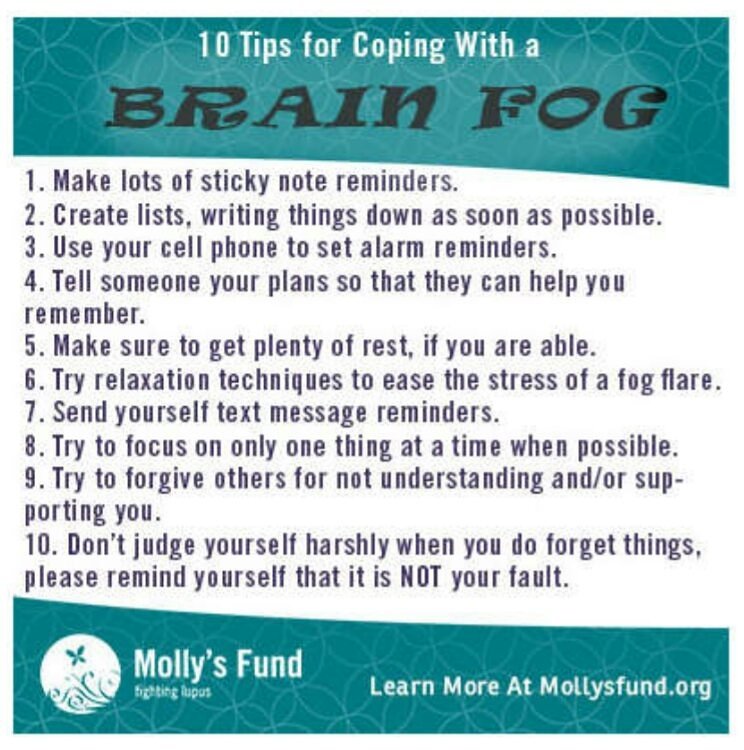 '10 Tips for Coping Brain Fog' by @MollysFund #Lupus #Lupuschat #LupusWarrior #100Lupus #KNOWLupus #FFpaciente #AwarenessConciencia #LupusCommunity #LupusAwareness 💜🤚💜