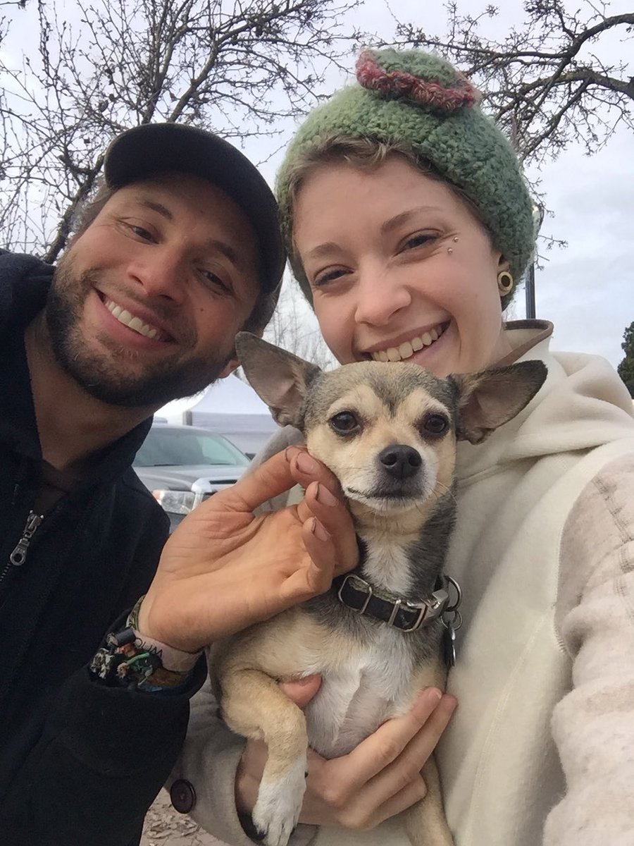 thepalequail's tweet photo. This dog looks so much like an old friend! His name is Odie. #dog10 #100Dogs2018 #YearOfTheDog https://t.co/N86QI9zyzA