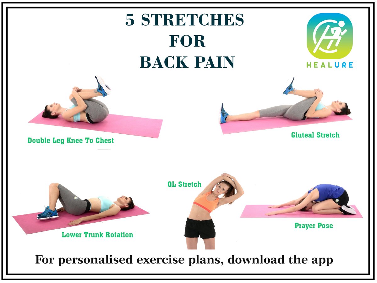 Exercises For Back Pain 2025