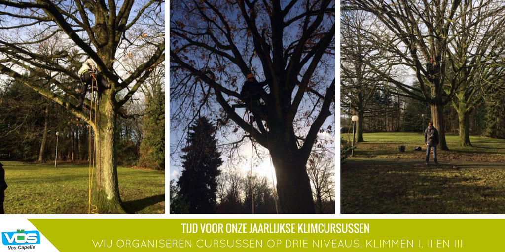 Voor iedereen die tijdens zijn werk te maken krijgt met klimmen en werken in bomen bieden wij klimcursussen aan. Vorige week zijn de deelnemers gestart en ook deze week staan er nog twee cursusdagen gepland. De cursussen worden georganiseerd i.s.m. Van Bijsterveldt &amp; Daamen BV.