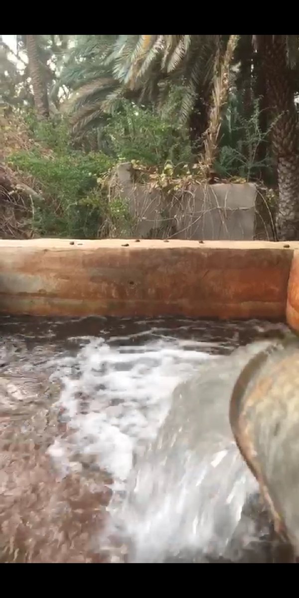 abohetaf1's tweet image. 