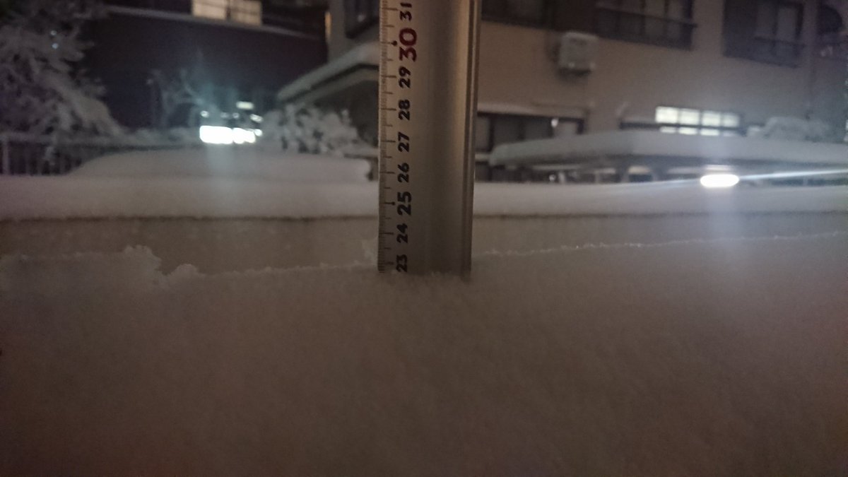 積雪 22.5cm 三鷹市内 23時
