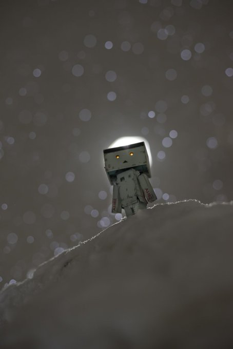 ダンボーのtwitterイラスト検索結果