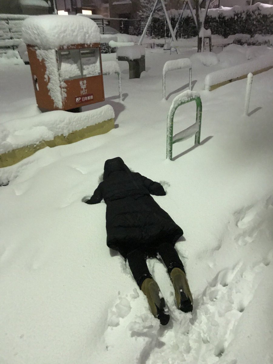 miku_12121's tweet photo. 何この親子笑笑笑
右はままちゃん
左はみく
ままちゃん可愛いけどポストがじわじわくる https://t.co/juxBGvLvsE
