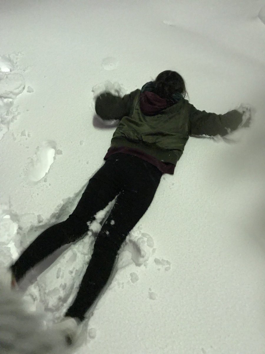 miku_12121's tweet photo. 何この親子笑笑笑
右はままちゃん
左はみく
ままちゃん可愛いけどポストがじわじわくる https://t.co/juxBGvLvsE
